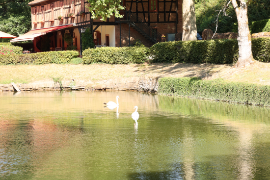 Schloss Mespelbrunn